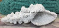Tropische schelp. PDF incl. Video-uitleg